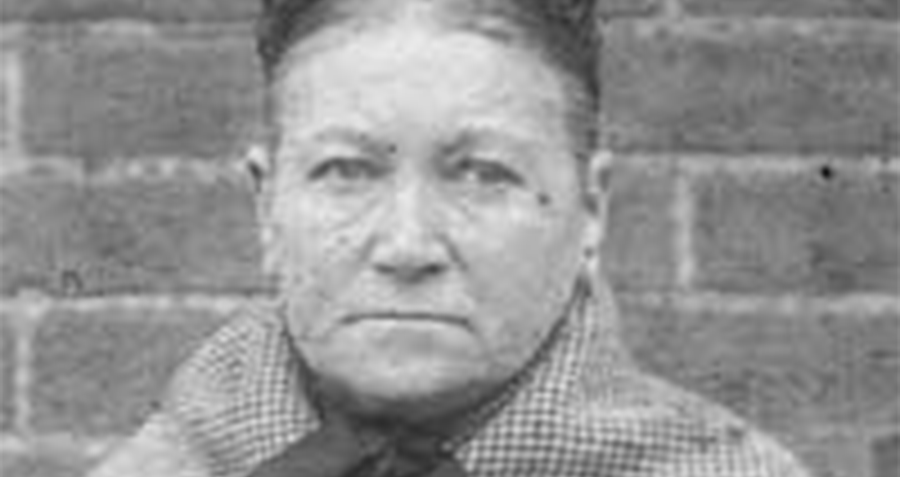 Lợi dụng công việc chăm sóc những đứa con ngoài giá thú không được xã hội thời đó công nhận để kiếm những khoản tiền lớn, Ameila hứa hẹn sẽ tìm cho những đứa trẻ này mái ấm gia đình mới.