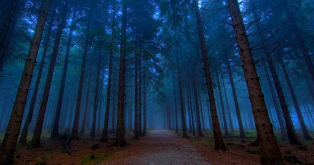 Theo sách kỷ lục Guinness thế giới, Pluckley là ngôi làng bị "ma ám" nặng nhất nước Anh.