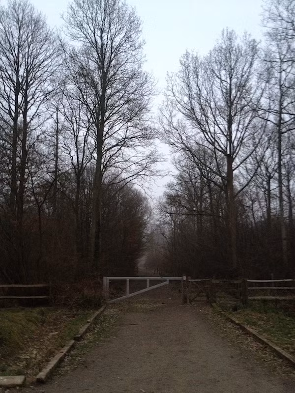 Đôi lúc, họ cảm nhận được tiếng bước chân và lời thì thầm từ bên trong khu rừng vào những ngày âm u, đầy sương mù.