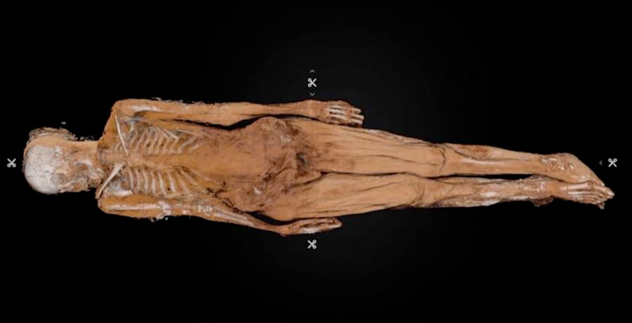 Thi hài kỳ lạ này được các công nhân phát hiện một cách tình cờ trong lúc thi công dự án.