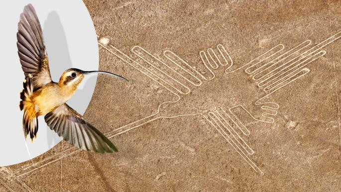 Điều này có nghĩa những đường kẻ Nazca có trước cả thánh địa Machu Pichu.