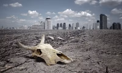 Thêm nữa, số người chết vì nhiệt độ toàn cầu tăng cũng góp phần đẩy nền văn minh của nhân loại sớm đến bờ vực diệt vong.