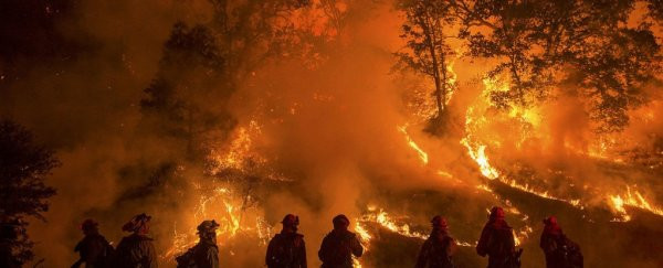 Nếu các quốc gia không có hành động cụ thể trong vài thập kỷ tới để cải thiện tình hình như cắt giảm lượng khí thải thì nhiệt độ trên Trái đất có thể tăng thêm 3 độ C vào năm 2050.