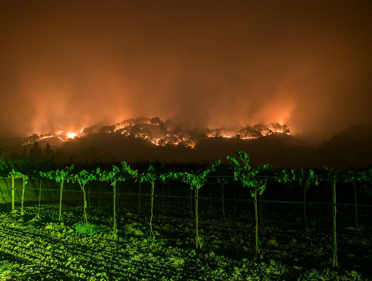 Trong số này có việc, Bắc Mỹ sẽ phải chịu đựng nhiều kiểu thời tiết khắc nghiệt gây ra cháy rừng, hạn hán.