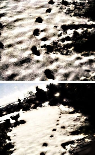 Sự việc bí ẩn này xuất hiện một lần nữa tại vùng Bắc Devon tháng 3/2009.