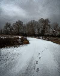 Một số dấu chân dừng lại ở những nơi vắng vẻ, ít người qua lại rồi biến mất một cách kỳ bí.