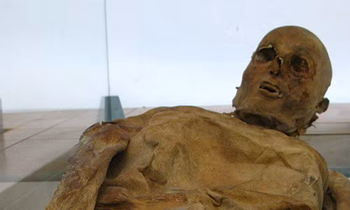 Do những xác chết này còn nguyên vẹn đến khó tin dù không được ướp xác nên giới chuyên gia không khỏi tò mò vì sao điều này có thể xảy ra.