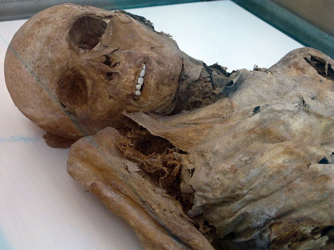 Một số chuyên gia cho rằng, môi trường khô trong quan tài và khu mộ đã "sấy khô" các tử thi giúp chúng không bị phân hủy.