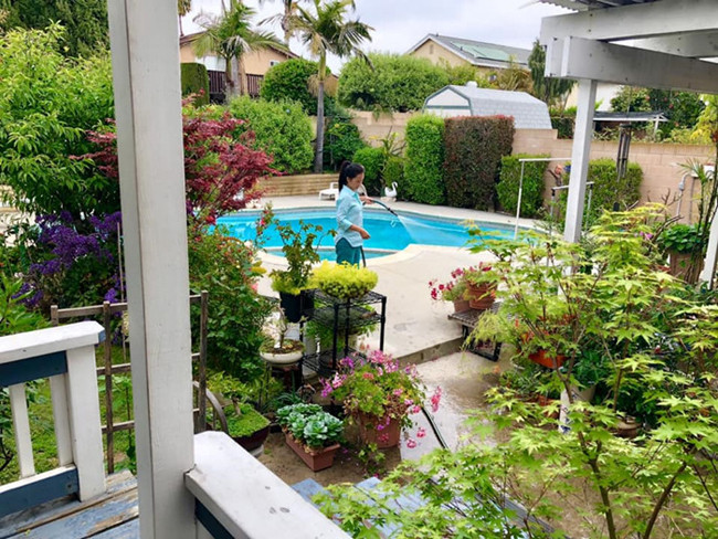 Một trong những ảnh hiếm hoi được tiết lộ về không gian sống của nghệ sĩ Hồng Đào với vườn cây xanh quanh hồ bơi ngoài trời.