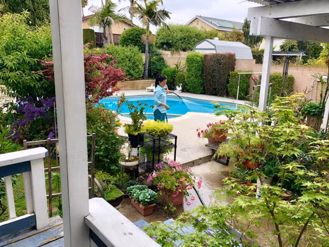 Một trong những ảnh hiếm hoi được tiết lộ về không gian sống của nghệ sĩ Hồng Đào với vườn cây xanh quanh hồ bơi ngoài trời.