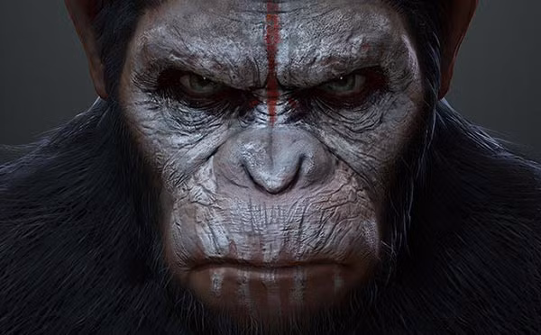 Dự án này được cho là có nguồn kinh phí hoạt động lên tới 200.000 USD.