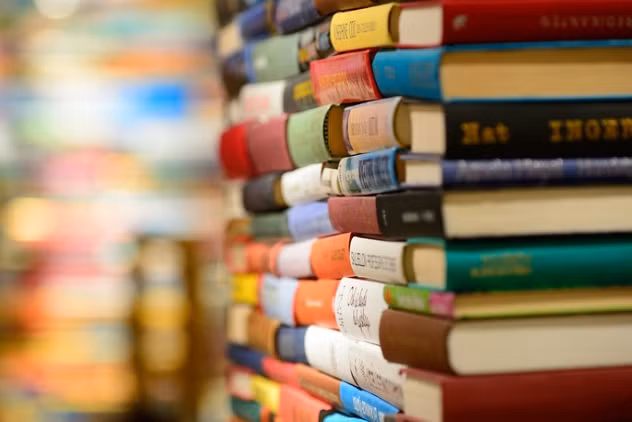 Theo các chuyên gia, người mắc Bibliomania có tình yêu cuồng nhiệt dành cho những cuốn sách. Họ là những người ham đọc sách và thích sưu tầm những cuốn sách.