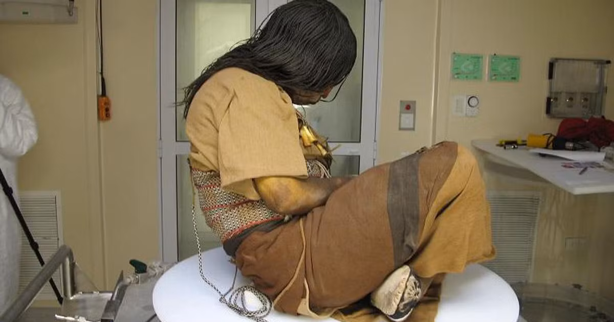 Về sau, trinh nữ Inca được đặt trong mộ băng với tư thế 2 chân bắt chéo, đầu cúi về phía trước. Trên người cô mặc trang phục lông thú và đội mũ lông chim.