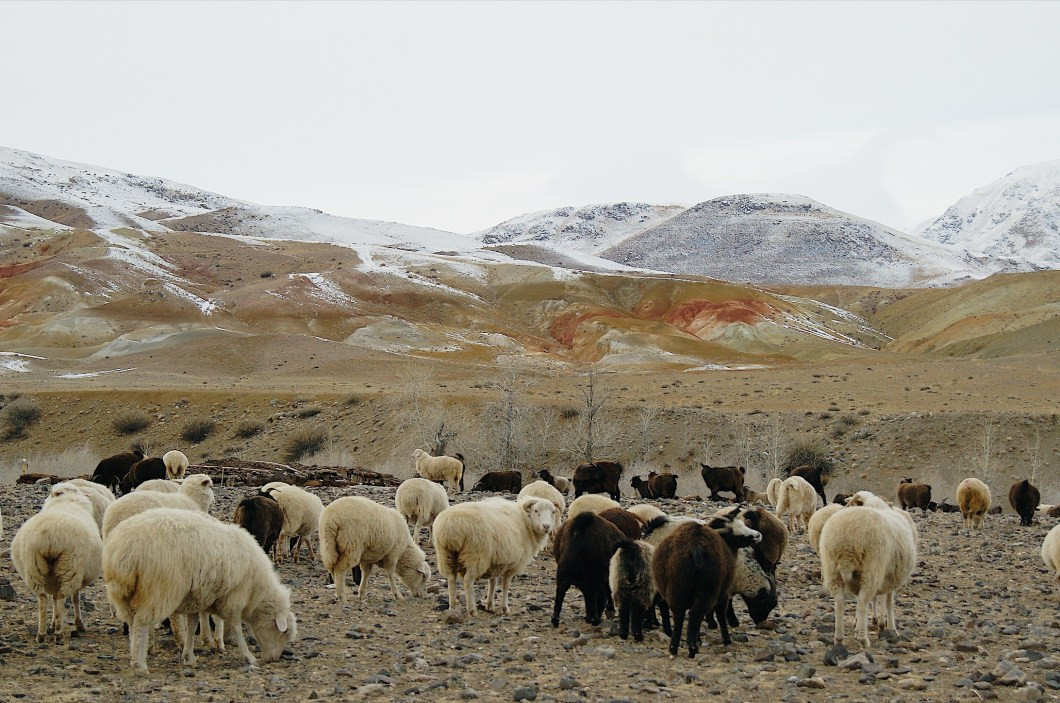 Vào thời xưa, nền văn minh Scythia xuất hiện và phát triển tại dãy Altai. Theo đó, Scythia từng là một đế chế hùng mạnh và giàu có. Về sau người Scythia bị người Sarmati chinh phục khiến nền văn minh này sụp đổ.