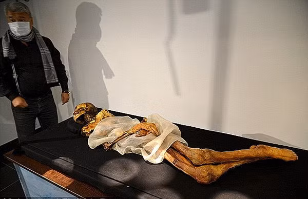 Sau khi thực hiện một loạt kiểm tra, nghiên cứu, các chuyên gia phát hiện "Công chúa Altai" mắc một số căn bệnh nguy hiểm, trong đó có bệnh ung thư. Căn bệnh này được cho là nguyên nhân khiến trinh nữ tử vong.