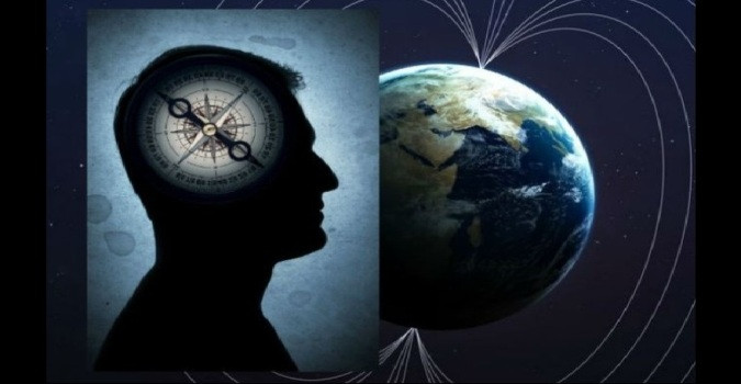 Trọng tâm chính của dự án Stargate được Mỹ triển khai là nghiên cứu về khả năng tìm thấy đồ vật bằng sức mạnh tư duy hay có thể nhìn thấy điều gì đang diễn ra tại một địa điểm ở cách xa đó nhiều km. Khả năng này được các chuyên gia gọi là dao thị.