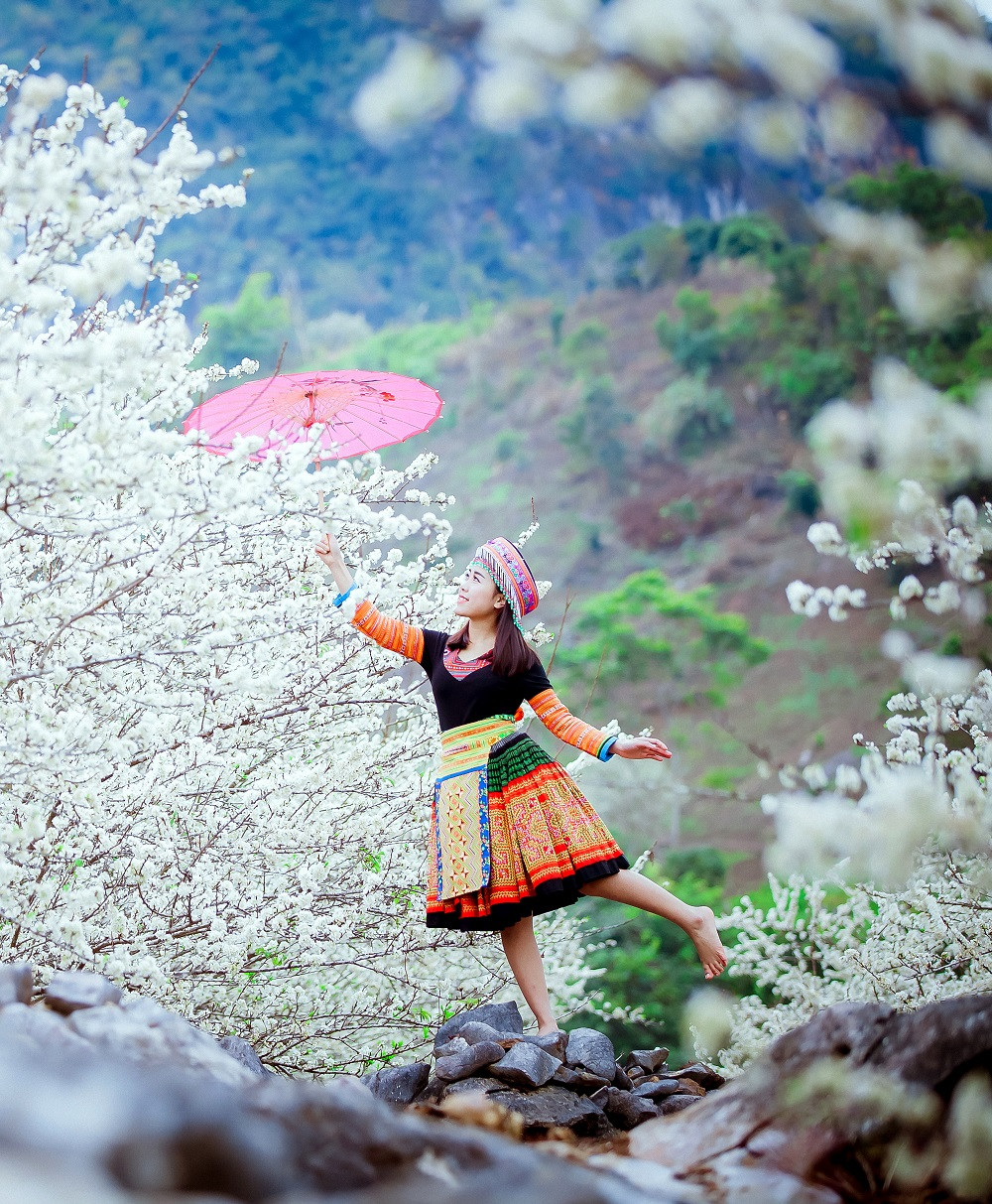 Tinh khoi mua hoa man Son La-Hinh-7