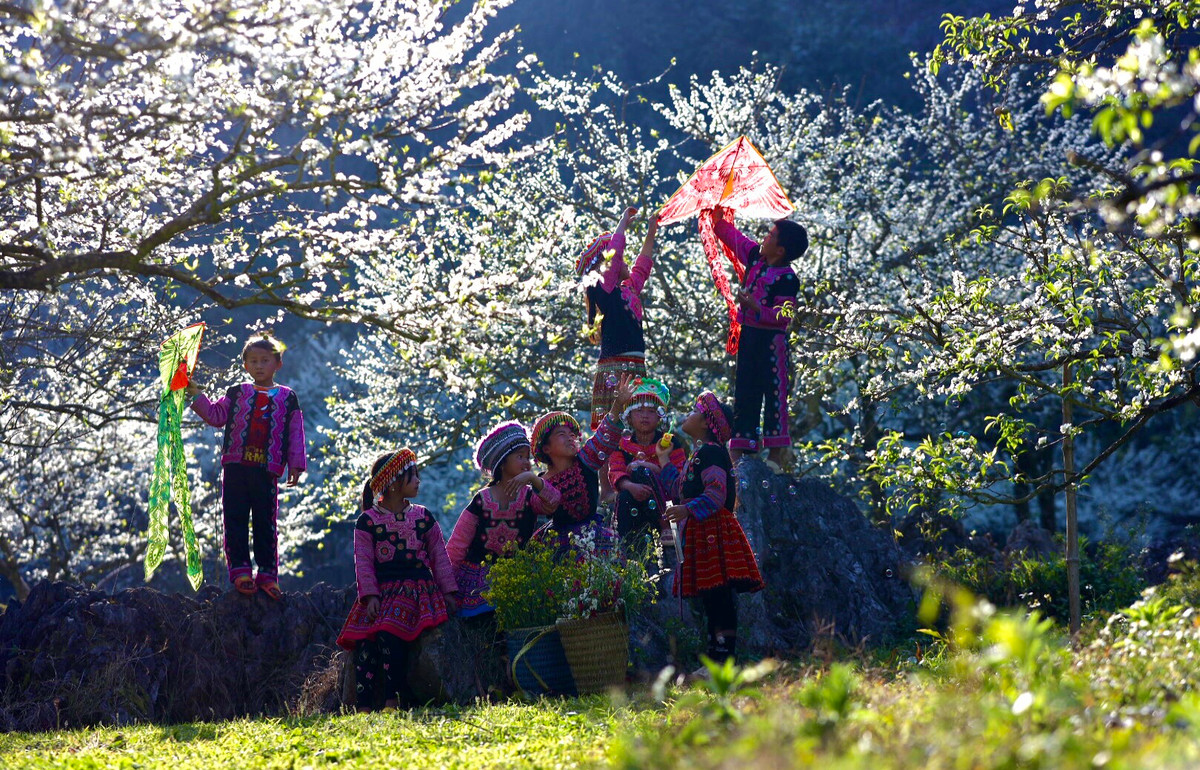 Tinh khoi mua hoa man Son La-Hinh-3