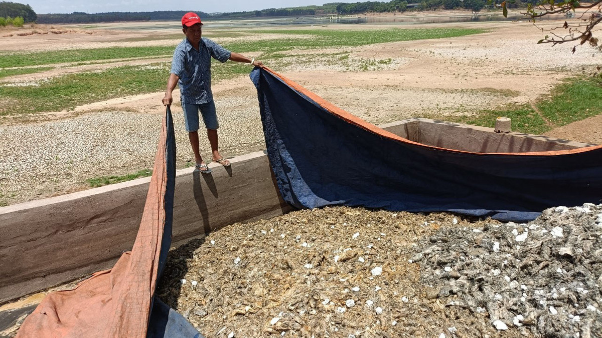 Dong Nai: Da thu gom het 200 tan ca noi trang ho Song May-Hinh-7