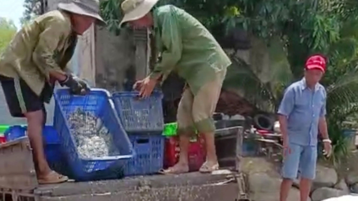 Dong Nai: Da thu gom het 200 tan ca noi trang ho Song May-Hinh-5