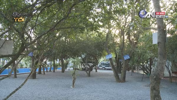 Quang cảnh khu vườn kỳ lạ chữa bách bệnh theo lời đồn.