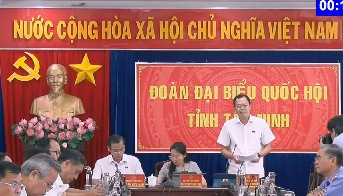 ĐBQH: Điều hành giá điện nhiều bất cập gây thua lỗ cho ngành điện? - Hình 2 DBQH: Dieu hanh gia dien nhieu bat cap gay thua lo cho nganh dien?-Hinh-2