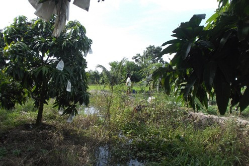 Nghịch tủ giét mẹ ròi vùi xác duói muong nuoc