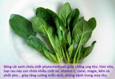 Rau cải xanh là một trong các loại rau mùa thu cung cấp nhiều vi chất dinh dưỡng quan trọng, giúp bạn tăng cường hệ miễn dịch và phòng bệnh mùa thu.