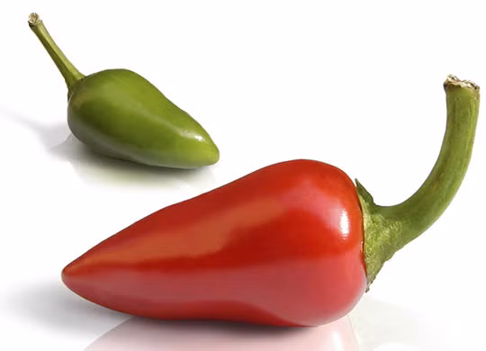 1 chén ớt chuông xanh xắt nhỏ có chứa 120 mg vitamin C - ít hơn so với ớt chuông đỏ - nhưng vẫn chứa 200% lượng vitamin C được khuyến nghị hàng ngày đối với bạn.