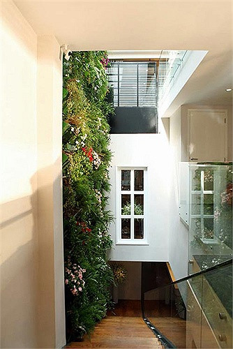 Không gian phía ngoài của showroom.