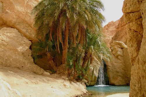 Chebika Oasis, Tunisia: Ẩn mình trong quốc gia Tunisia của châu Phi, nằm dưới chân núi Djebel el Negueb là ốc đảo của sa mạc Chebika. Nơi đây được gọi là "lâu đài của mặt trời".