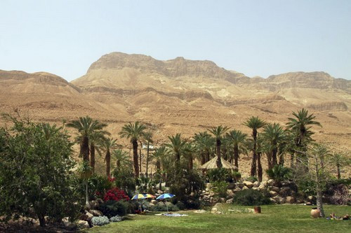 Ein Gedi, Israel: Ein Gedi đã từng được đề cập đến trong Kinh Thánh và là một ốc đảo trong khu vườn Eden. Nơi đây là một sự pha trộn hiếm hoi của lịch sử, kiến trúc và thiên nhiên hoang dã. Ốc đảo xinh đẹp này nằm ở phía tây của biển Chết ở sa mạc Judean giữa hang động Masada và Qumran ở Israel. Nơi này thu hút những người yêu thích thiên nhiên và con người tôn giáo. Nó được ca ngợi là ốc đảo tuyệt nhất của Israel.