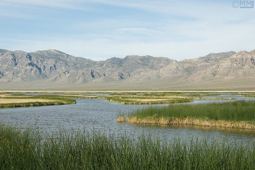 Fish Spring National Wildlife Refuge, Utah: Vẻ đẹp tráng lệ của thiên nhiên được chạm khắc vào cuối phía nam của ốc đảo Great Salt Lake Desert trong Juab County Utah. Khu vực này từng là hồ Bonneville cổ xưa nhưng không còn tồn tại. Ốc đảo này thu hút nhiều loài chim quý hiếm đến trú ngụ.