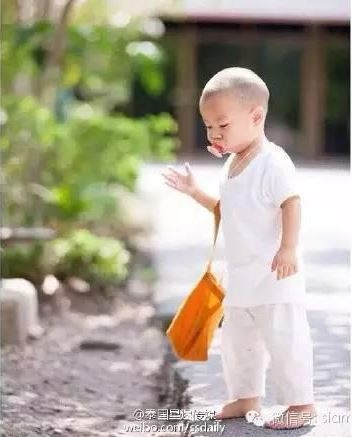 Chỉ cần nhập từ khóa là nongkornfanpage bạn sẽ thấy một loạt hình ảnh ngộ nghĩnh từ chú bé này.