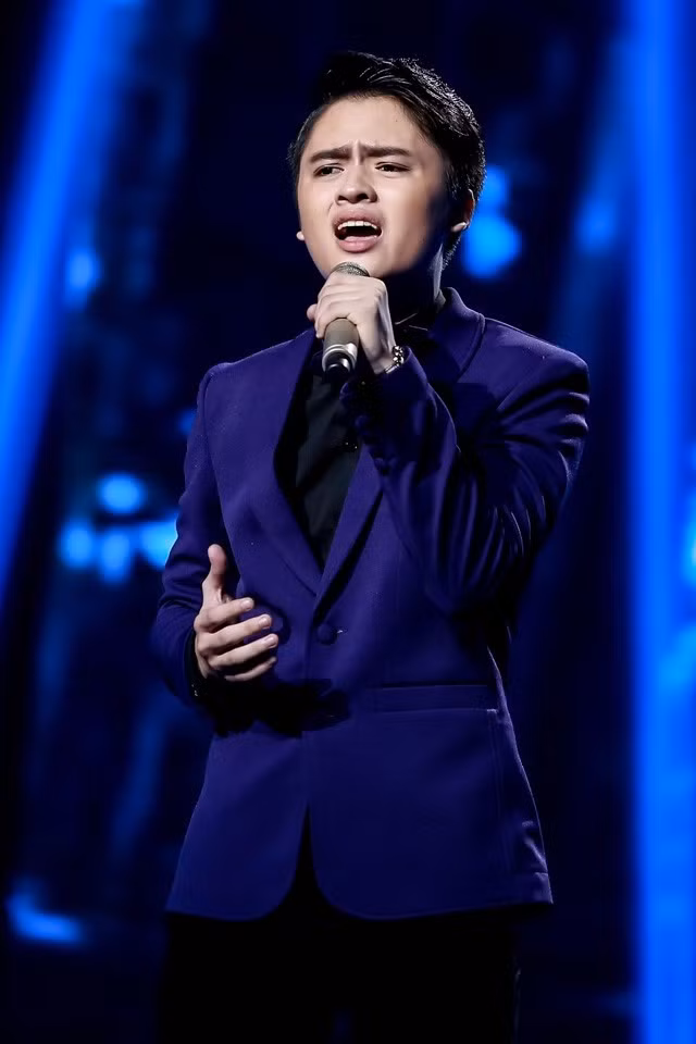 Mỹ Tam, Mr. Dàm tranh cãi nay lua o Giong hat Viet 2015-Hinh-6