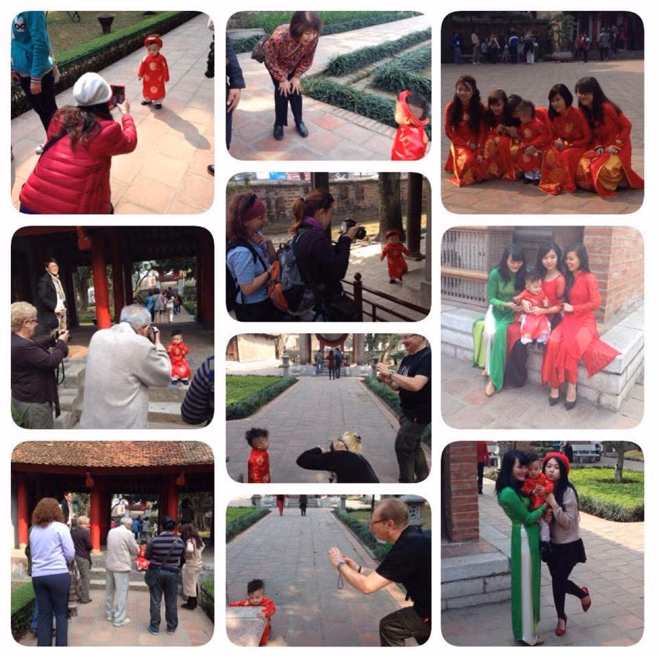 Cừu có rất nhiều "fan hâm mộ".