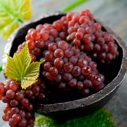 Ruby Roman là loại nho của quận Ishikawa (Nhật Bản) - nơi duy nhất nhân giống và phát triển thành công loại nho này. Ruby Roman nổi tiếng với vỏ màu đỏ anh đào, kích cỡ như trái bóng bàn và vị ngọt rất đậm. Đường kính trung bình của một quả nho Ruby là hơn 3cm.