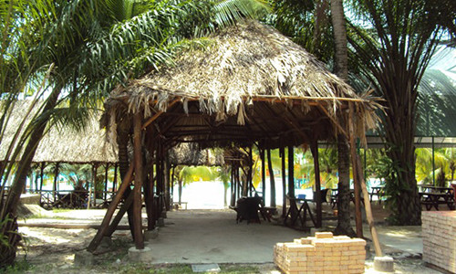 Cong ty Dai Nam cua dai gia Dung lo voi duoc giai oan