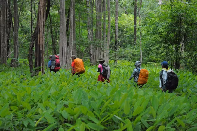 Đây là cung đường lý tưởng dành cho những ai đam mê trekking, muốn tìm chốn bình yên, hòa mình với thiên nhiên.