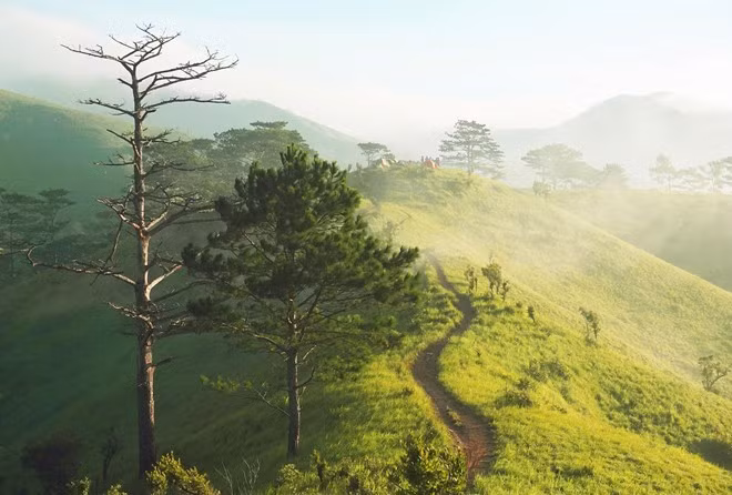 Ngày mới, chúng tôi được đánh thức bằng tiếng chim hót véo von. Bên ngoài cánh cửa lều mở rộng, những đồi cỏ xanh rì nối tiếp nhau như dài vô tận.