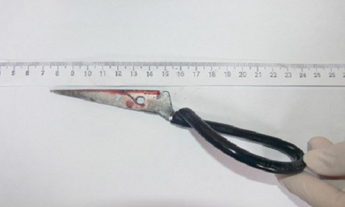 Bác Giang: Cong nhan dùng kéo dam dòng nghiẹp tủ vong