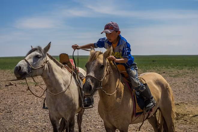Tuy nhiên, chủ yếu phương tiện đi lại của người dân sống trên thảo nguyên Mông Cổ là ngựa. Nhiều người nói rằng người Mông Cổ sinh ra đã biết cưỡi ngựa.