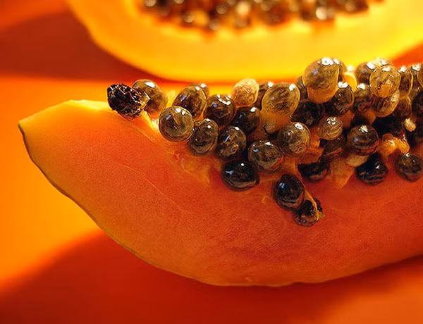 Trong 100 g đu đủ chín có 74-80 mg vitamin C và 500-1.250 IU caroten. Đu đủ còn có các vitamin B1, B2, các acid gây men và khoáng chất như kali, canxi, magiê, sắt và kẽm. Tuy nhiên sẽ không lường hết được tác dụng phụ của việc ăn đu đủ chín trong các trường hợp sau.