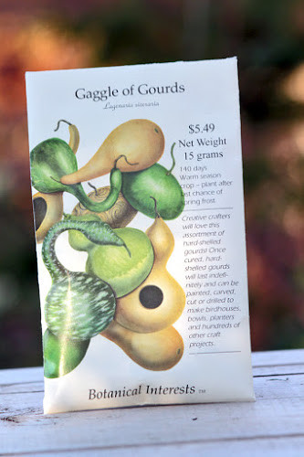 Bước 1: Xử lý hạt trước khi trồng. Hạt giống bạn có thể tìm mua tại các cửa hàng bán hạt giống hoặc lấy hạt từ các quả bầu hồ lô giống nếu đã có sẵn. Do phần hạt bầu có phần vỏ khá dày và cứng nên nếu không xử lý trước khi đem gieo hạt thì hạt rất khó nảy mầm hoặc cây mầm sẽ bị biến dạng.