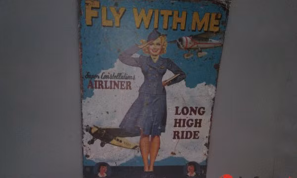 Bên trong "máy bay" được trang trí bằng tranh giấy ép.