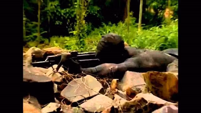 Dac nhiem O den Cuba co hoc hoi dac cong VN?-Hinh-6