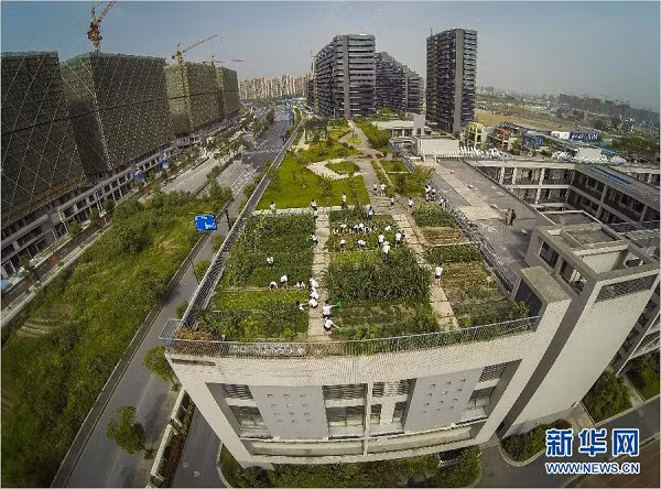 Quang cảnh khu vườn nhìn từ xa.