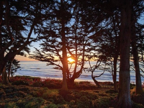 Cố Tổng thống Nixon từng sử dụng "Nhà Trắng" thứ hai của mình làm nơi tiếp đón các vị khách quý, tiêu biểu là Henry Kissinger hay nhà lãnh đạo Xô-viết Leonid Brezhnev. Một cảnh đẹp hiếm có từ góc nhìn của căn biệt thự.