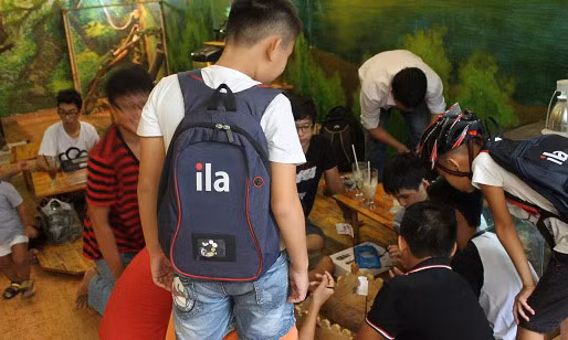 Cứ đến cuối tuần, nhiều bạn trẻ lại tụ tập và mang theo những chú bò sát của mình để giao lưu chia sẻ kinh nghiệm nuôi.