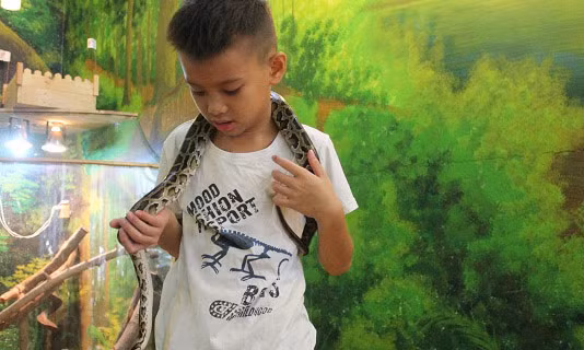 Nhiều em nhỏ thích thú vui chơi và gần gũi, thân thiện với các loài bò sát.